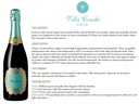 Cava Brut Seleccion, Bodegas Villa Conchi 