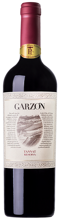 Bodega Garzon, Reserva Tannat, 2022