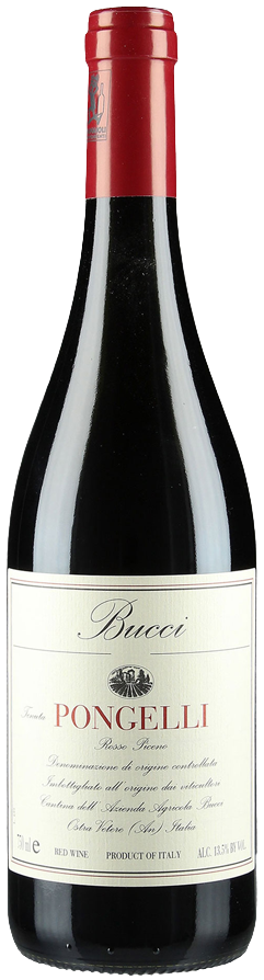 Bucci, Rosso Piceno Pongelli DOC, 2019