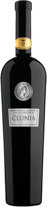 Rincon de Clunia, Clunia