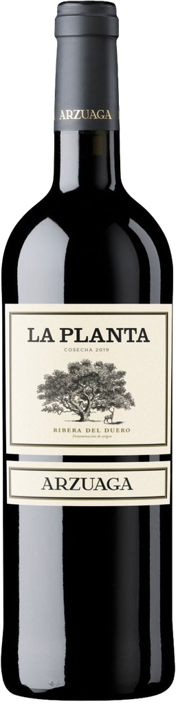 Arzuaga Navarro, La Planta, 2024