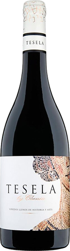 [194358] Clunia, Tesela, 2021